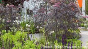 Greening-Grey-Britain_Garden_wynik