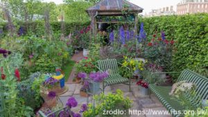 The-Anneka-Rice-Colour-Cutting-Garden-Sarah-Raven_wynik