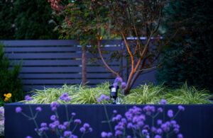 Mały ogródek miejski