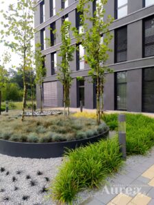 Zagospodarowanie przestrzeni wokół biurowca