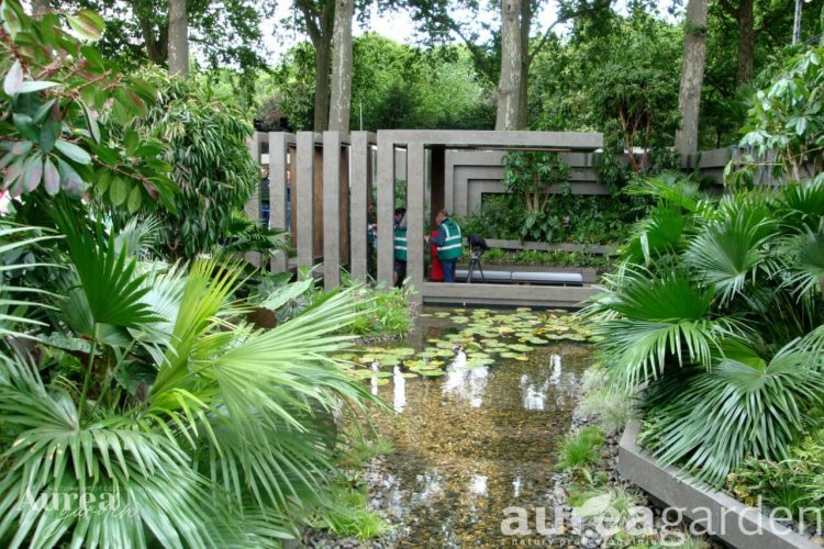 AG_wpis_CHELSEA2011_1