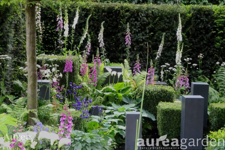 AG_wpis_CHELSEA2014_12