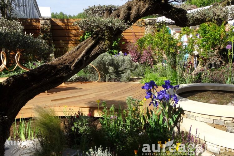 AG_wpis_CHELSEA2015_10