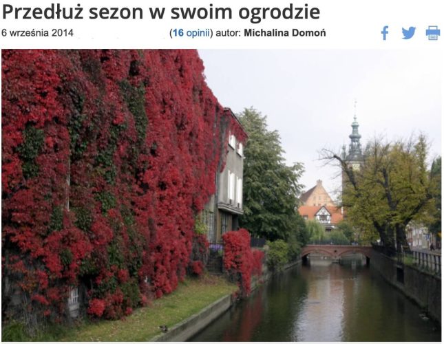SezonWOgrodzie