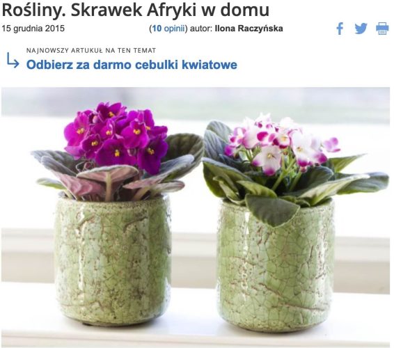 SkrawekAfryki